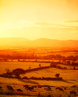 Mitchelstown, County Cork, Ireland, Galtee Mountains In The Distance