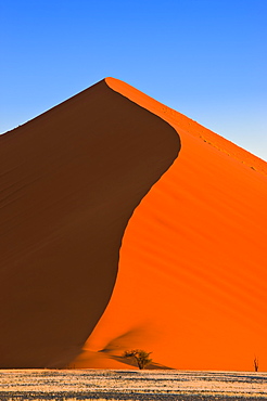 Sand Dune, Sossusvlei, Namib Desert, Namibia, Africa