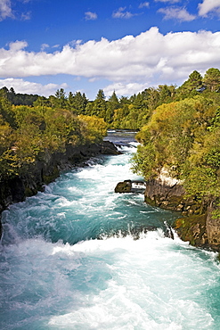 Waikato River, Taupo, New Zealand