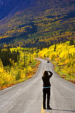 Photographer On Yukon Road, Canada