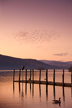 Sunset Over A Dock In The Lake, England