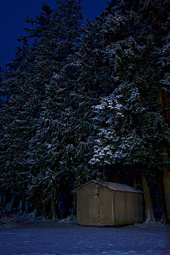 Shack In The Woods At Night