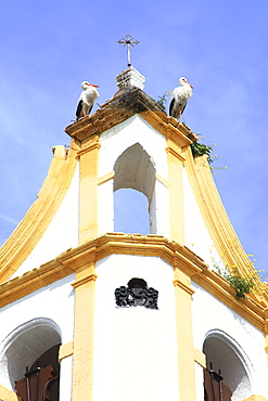 Storks On The Church Tower, Chiclana De La Frontera, Andalucia, Spain