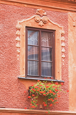 Building Window With Flower Box