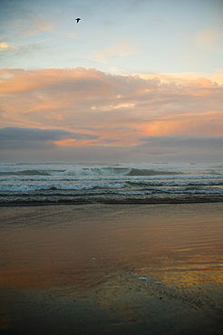 Breaking Waves Crashing Towards The Shore At Sunset, Waihi Beach, New Zealand