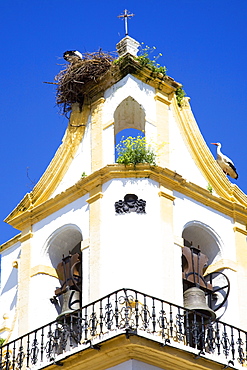 Chiclana De La Frontera, Andalusia, Spain, A Stork In It's Nest On A Church Steeple