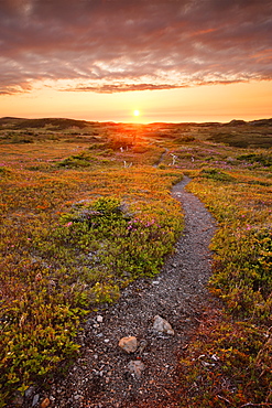 View Of Lookout Trail At Sunset, Gros Morne Np, Newfoundland, Canada