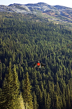 A red traffic light hung on a cable above a forest, Alberta canada