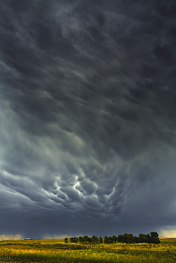 Mammatus storm clouds above the saskatchewan prairies, Saskatchewan, canada