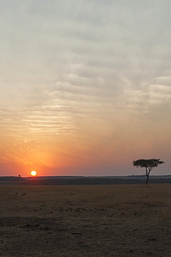 Sunset over the landscape in the maasai mara national reserve, Maasai mara kenya