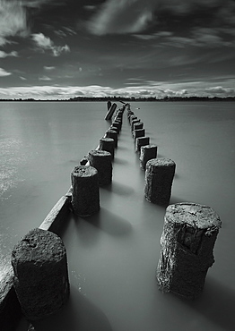 Wooden posts leading out into the river, Vancouver british columbia canada