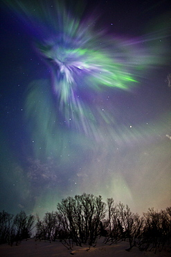 View Of The Aurora Borealis Over The Chugach Mountains, Southcentral Alaska, Winter