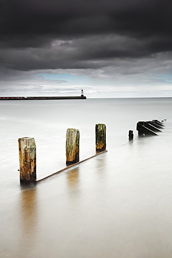 Wooden posts in the tranquil water, Berwick northumberland england