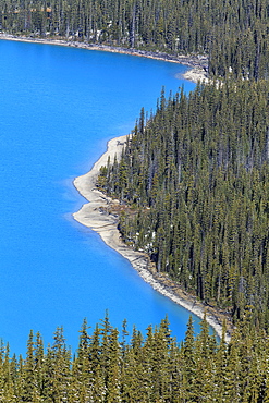 Aerial View Of Peyto Lake, Banff National Park, Alberta, Canada