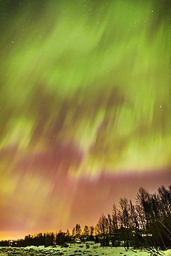 Northern Lights In The Sky Above The Snow Covered Mudflats Of Knik Arm, Tony Knowles Coastal Trail, Alaska, United States Of America