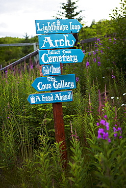 Landmark Sign Surrounded By Wildflowers In Halibut Cove, Kachemak Bay, Alaska, United States Of America