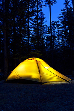 Tent In The Woods At Night Glowing With Deep Dark Blue Sky, Lake Louise, Alberta, Canada