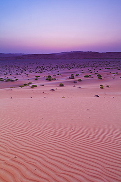 Sunset Over Sand Dune Landscape, Liwa Oasis, Abu Dhabi, United Arab Emirates