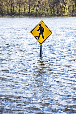 Pedestrian Crossing Sign In An Area Flooded By A River, Connecticut, United States Of America