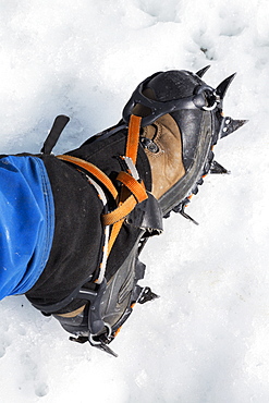 View Of A Hiker's Foot Wearing A Crampon Standing On The Matanuska Glacier, Alaska, United States Of America