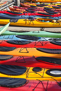 Multi-Coloured Kayaks Together At Boat Dock, Prince William Sound, Valdez, Alaska, United States Of America