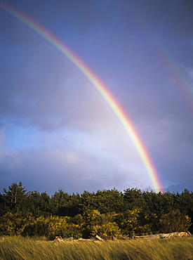 Rainbows Are Common Along The Oregon Coast, Florence, Oregon, United States Of America