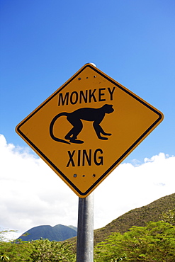 Monkey Crossing Sign, Nesbit Beach, Nevis