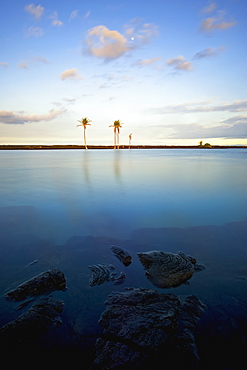 Kiholo Bay Pond, North Kona, Island Of Hawaii, Hawaii, United States Of America