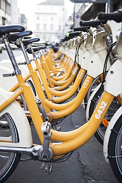 Yellow And White Bicycles Parked In A Row, Milan, Lombardy, Italy