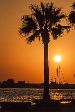 Silhouette Of Sailboat Masts, Building And A Palm Tree In The Harbour, Paphos, Cyprus