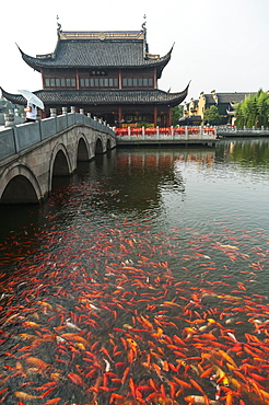 Zhouzhuang Ancient Town, Beautiful Traditional Chinese Architecture, Zhouzhuang, Shanghai, China