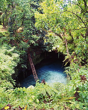 Ladder Down To Sua Waterhole, Upolu Island, Samoa