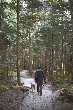 Man Hiking With His Dog On A Path In The Forest With A Light Dusting Of Snow On The Ground, Girdwood, Southcentral Alaska