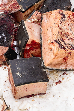 Close Up Of Chunks Of Bowhead Whale Meat On The Frozen Sea Ice, Barrow, North Slope, Arctic Alaska, USA, Winter