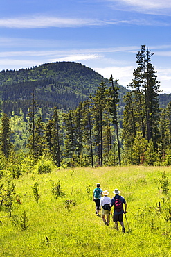 Hikers On Grassy Trail With Rolling Foothills In The Background, Kananaskis Country, Alberta, Canada