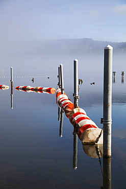 Buoys And Pilings On Foggy Lake, Bellingham, Washington, United States Of America