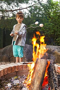 Young Boy Toasting Marshmallows On An Open Fire In A Backyard, St. Albert, Alberta, Canada