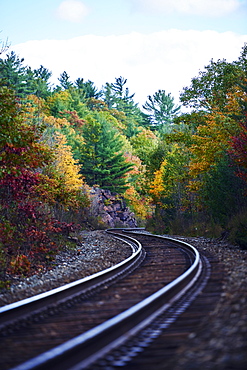 Railroad Tracks Through An Autumn Coloured Forest, Ontario, Canada