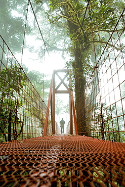 Man On A Bridge, Monteverde Cloud Forest Reserve, Monteverde, Costa Rica