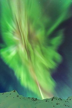 The Aurora Borealis Towers Over The Talkeetna Mountains In Hatcher Pass State Recreation Area, Alaska.