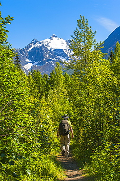 A Man Hiking At Dew Pond In The Chugach State Park In Eagle River On A Sunny Day In South-Central Alaska, Alaska, United States Of America