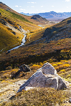 Savage River And The Landscape In The Rocky High Country, Denali National Park And Preserve, Interior Alaska, Alaska, United States Of America