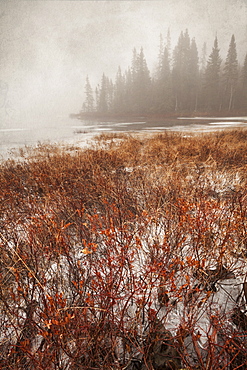 Northern Autumn Landscape In Fog And Ice, Thunder Bay, Ontario, Canada