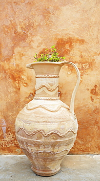 Earthenware Pot And Plant Against Distressed Paint Wall