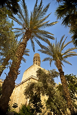 An Ancient Mud And Brick Minaret Framed By Date Palms, Cairo, Egypt