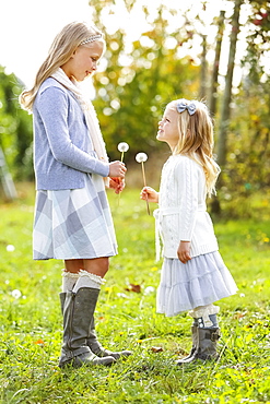 Two Young Girls Standing Facing One Another And Holding Dandelion Seed Heads, Washington, United States Of America