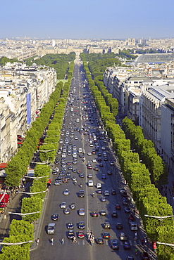 View From The Champs Elysees