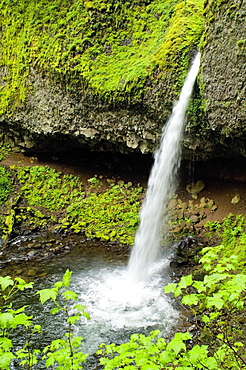 Ponytail Falls, Columbia River Gorge National Scenic Area, Oregon, Usa