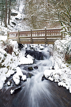 Waukeena Creek, Columbia River Gorge, Oregon, Usa