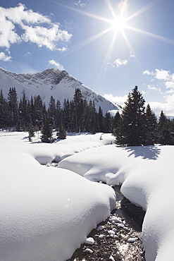 Kananaskis, Alberta, Canada